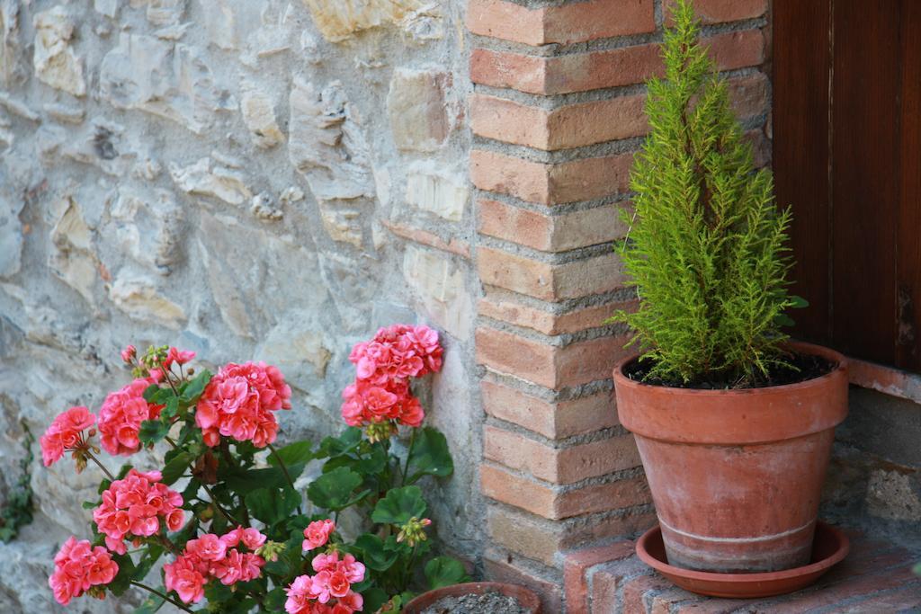 Apartamento Borgo Fango Montieri Exterior foto